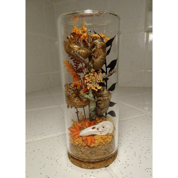 Cicada Skins Autumn Flowers Nature Art Oddity Jar mini Raven Skull goth witchy - Picture 1 of 16